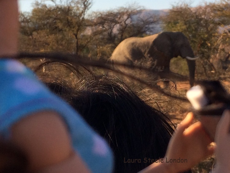Photographing Elephant 2