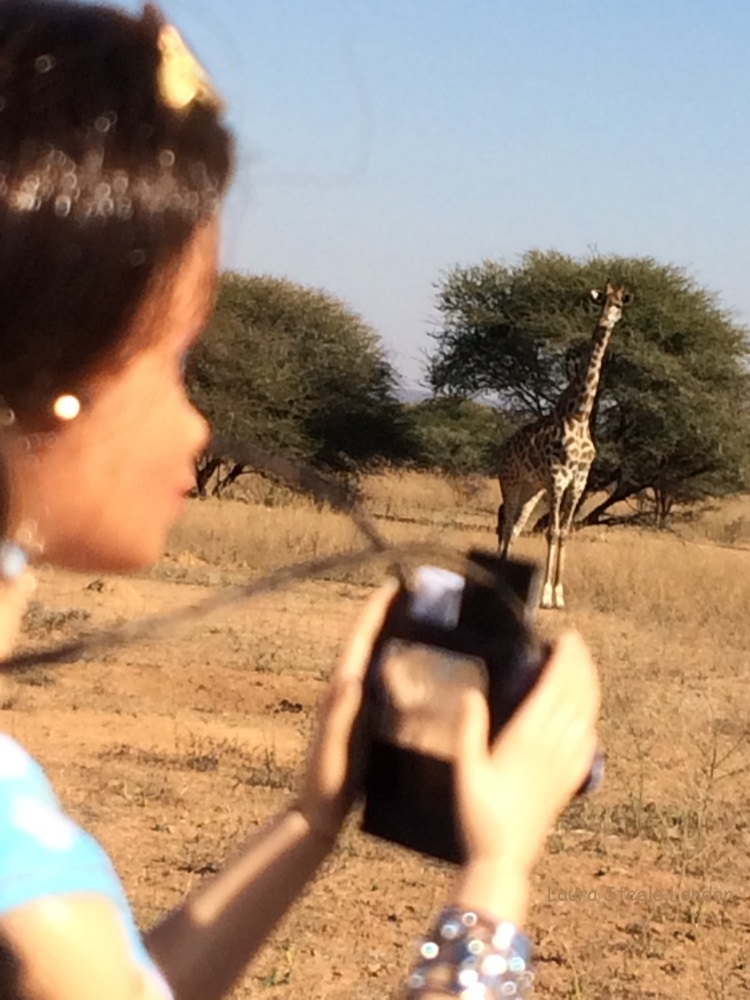 Photographing giraffe.JPG